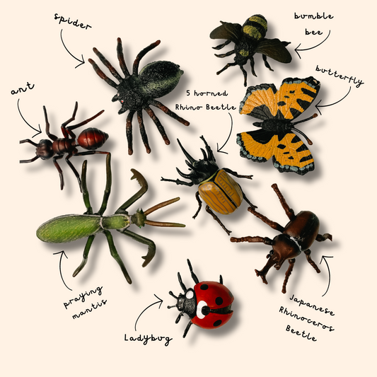 Creepy Crawly Bugs